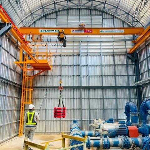 Overhead crane with service ladder